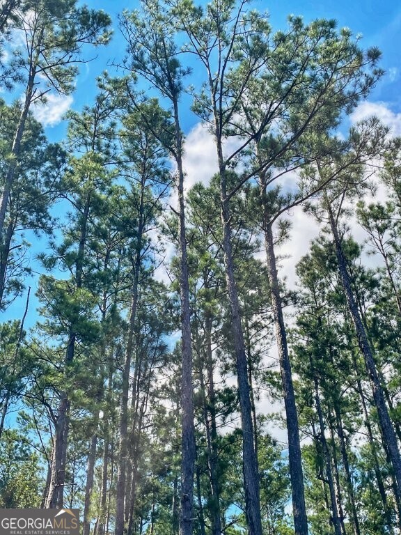 0 Incachee Road Waverly GA 31565