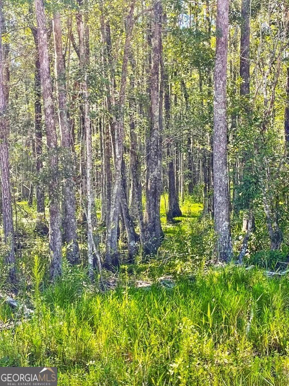 0 Incachee Road Waverly GA 31565