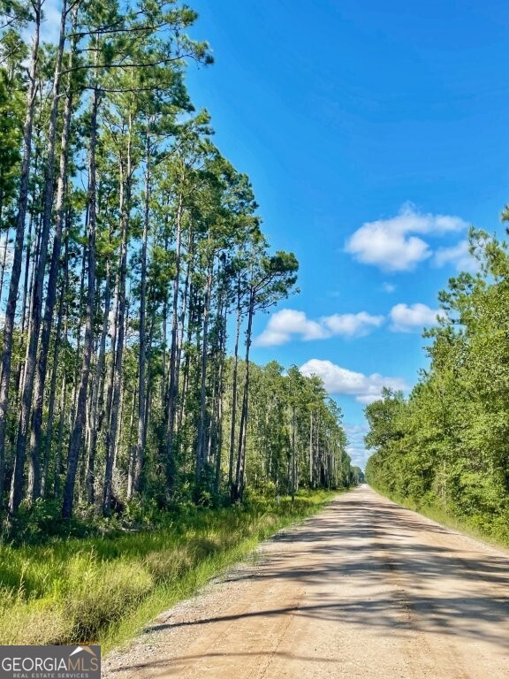 0 Incachee Road Waverly GA 31565