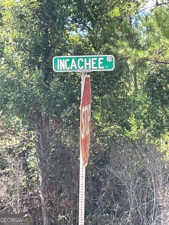 0 Incachee Road Waverly GA 31565