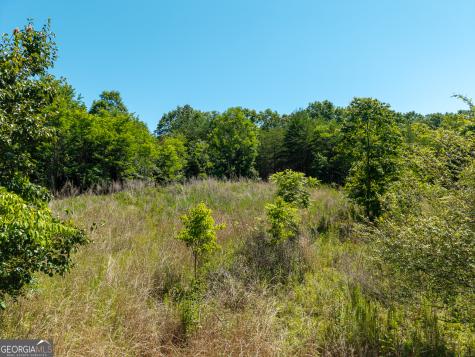 46 Green Kirby Lane Blue Ridge GA 30513