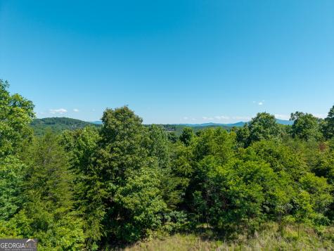 46 Green Kirby Lane Blue Ridge GA 30513