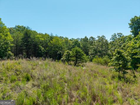 46 Green Kirby Lane Blue Ridge GA 30513