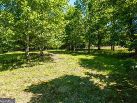 46 Green Kirby Lane Blue Ridge GA 30513