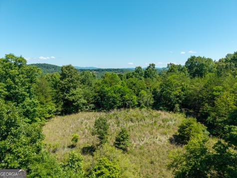 46 Green Kirby Lane Blue Ridge GA 30513