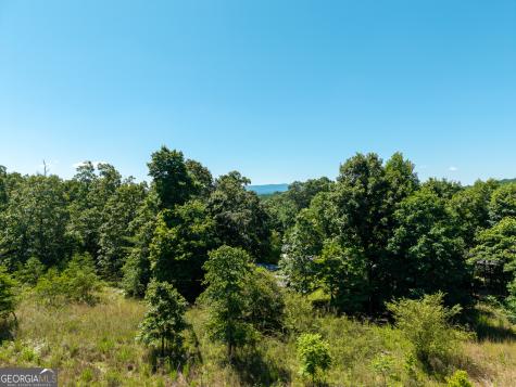 46 Green Kirby Lane Blue Ridge GA 30513