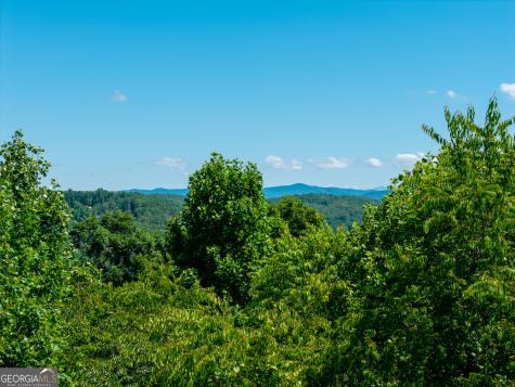 46 Green Kirby Lane Blue Ridge GA 30513