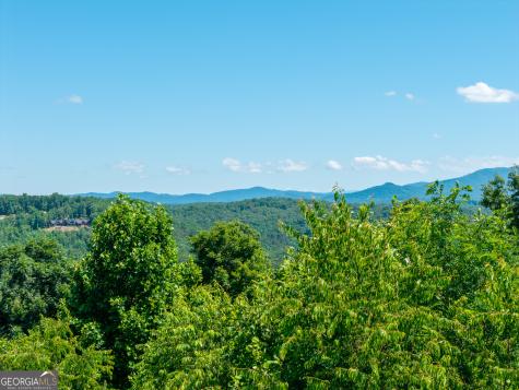 46 Green Kirby Lane Blue Ridge GA 30513