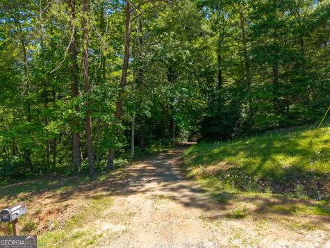 46 Green Kirby Lane Blue Ridge GA 30513