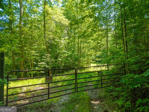 46 Green Kirby Lane Blue Ridge GA 30513