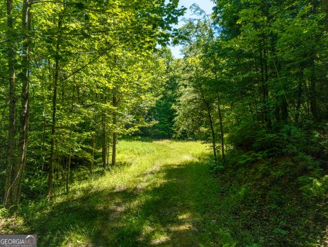 46 Green Kirby Lane Blue Ridge GA 30513
