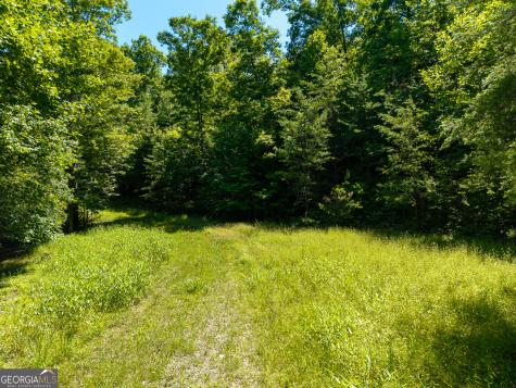 46 Green Kirby Lane Blue Ridge GA 30513