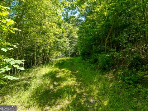 46 Green Kirby Lane Blue Ridge GA 30513