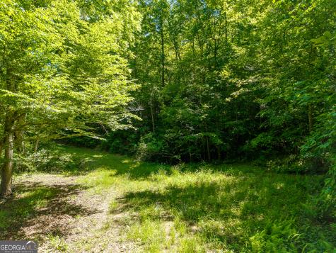 46 Green Kirby Lane Blue Ridge GA 30513