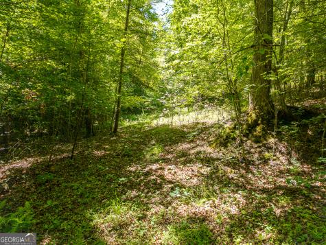 46 Green Kirby Lane Blue Ridge GA 30513