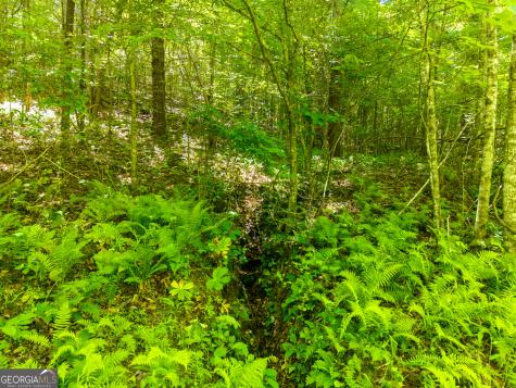 46 Green Kirby Lane Blue Ridge GA 30513