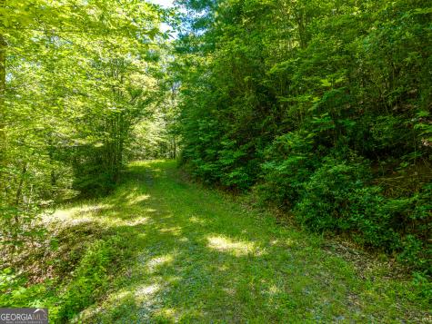 46 Green Kirby Lane Blue Ridge GA 30513