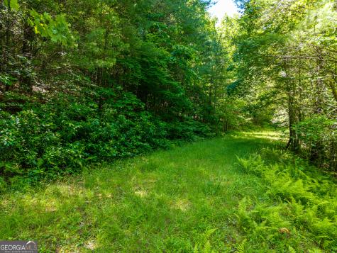 46 Green Kirby Lane Blue Ridge GA 30513