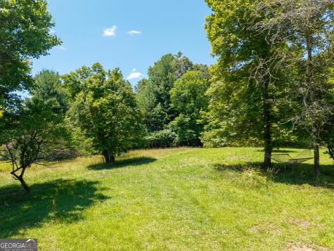 46 Green Kirby Lane Blue Ridge GA 30513