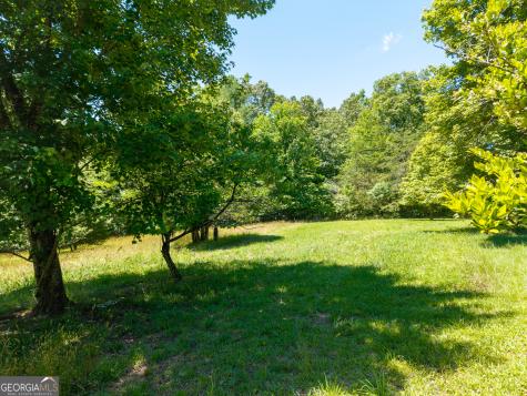 46 Green Kirby Lane Blue Ridge GA 30513