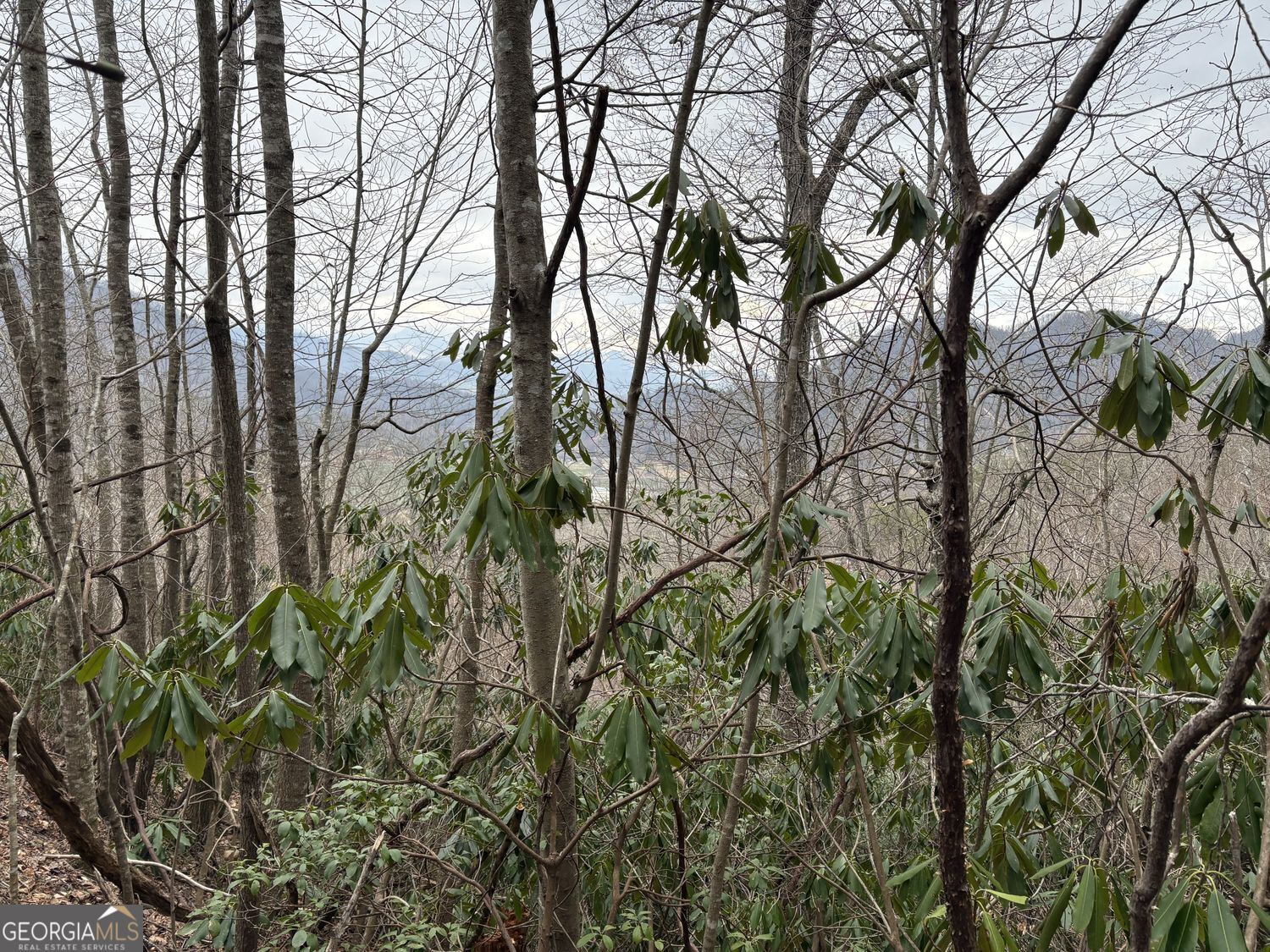 0 Colchester Lane Mountain City GA 30525