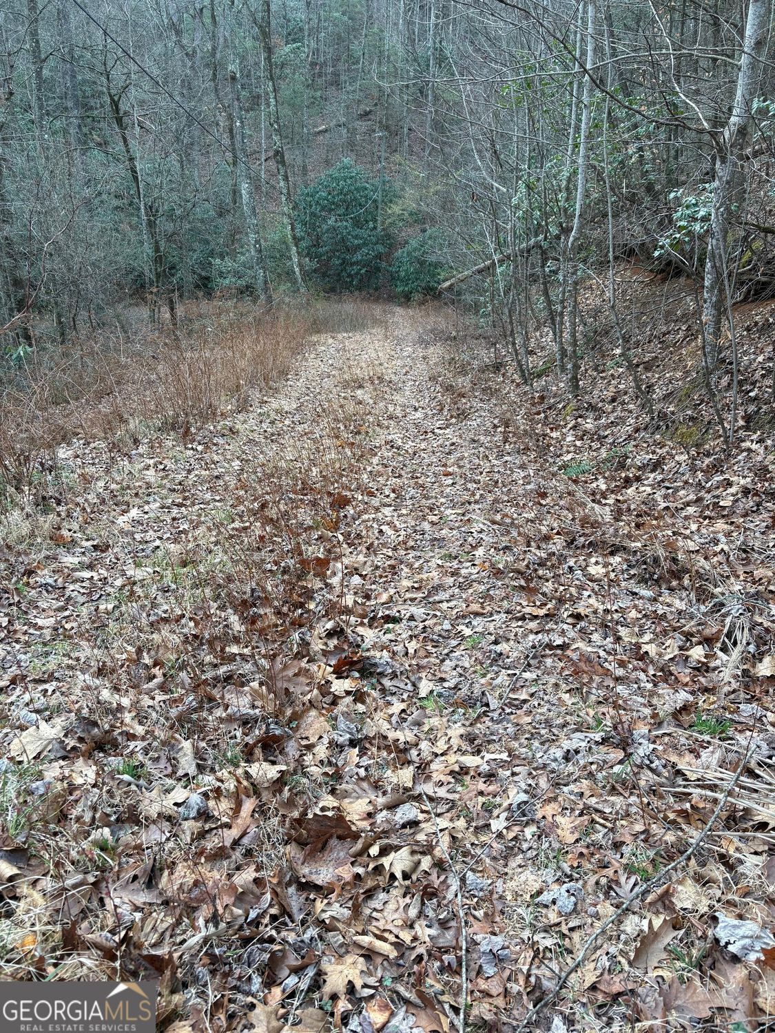 0 Colchester Lane Mountain City GA 30525