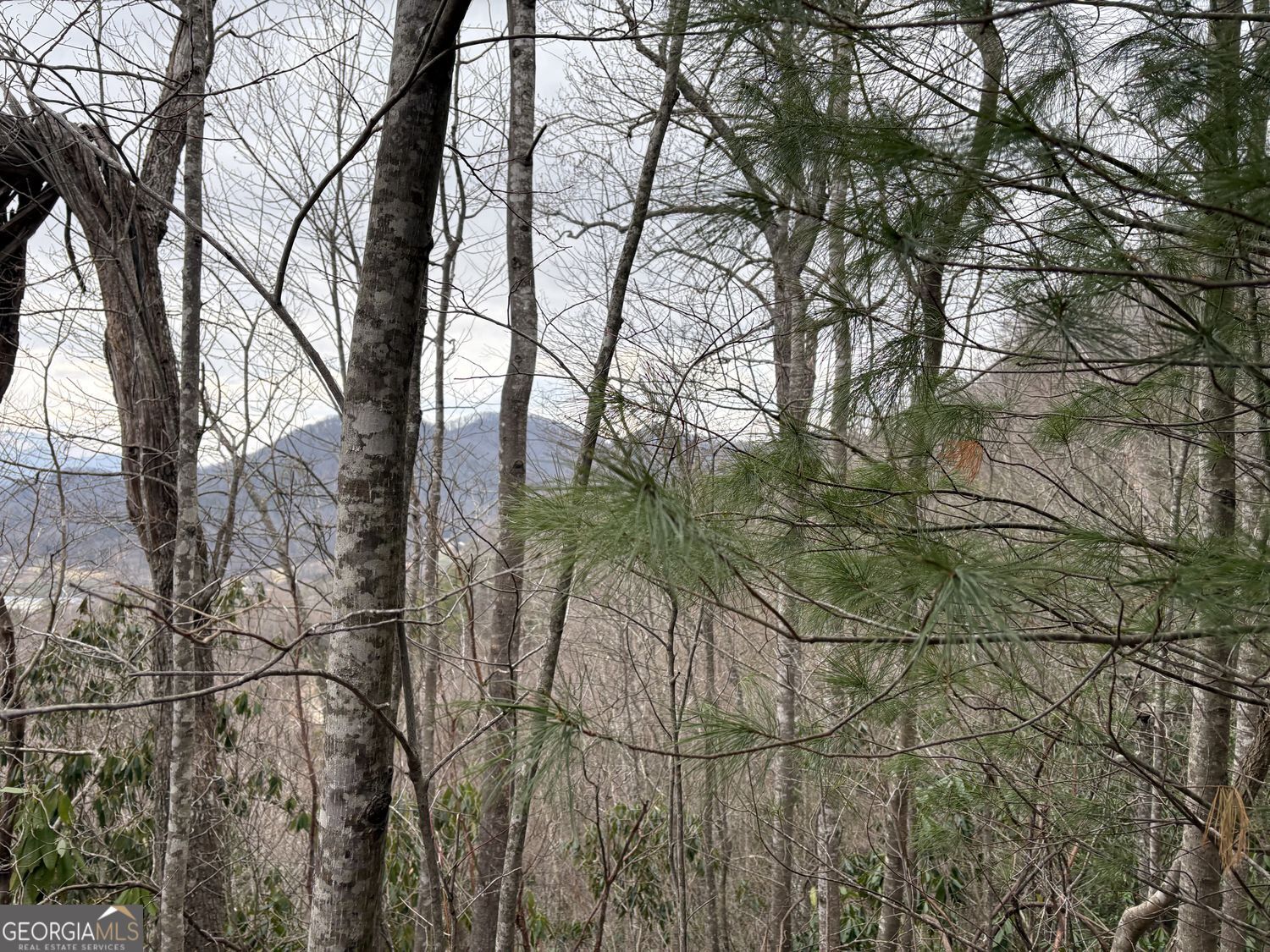 0 Colchester Lane Mountain City GA 30525