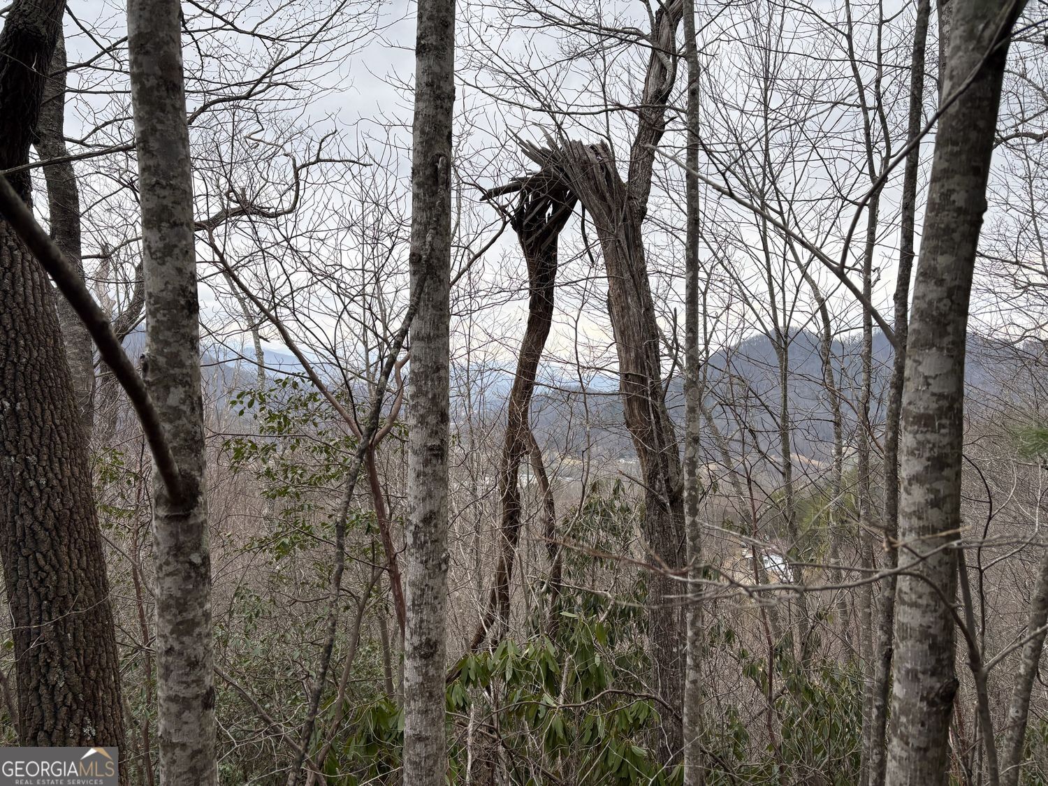 0 Colchester Lane Mountain City GA 30525