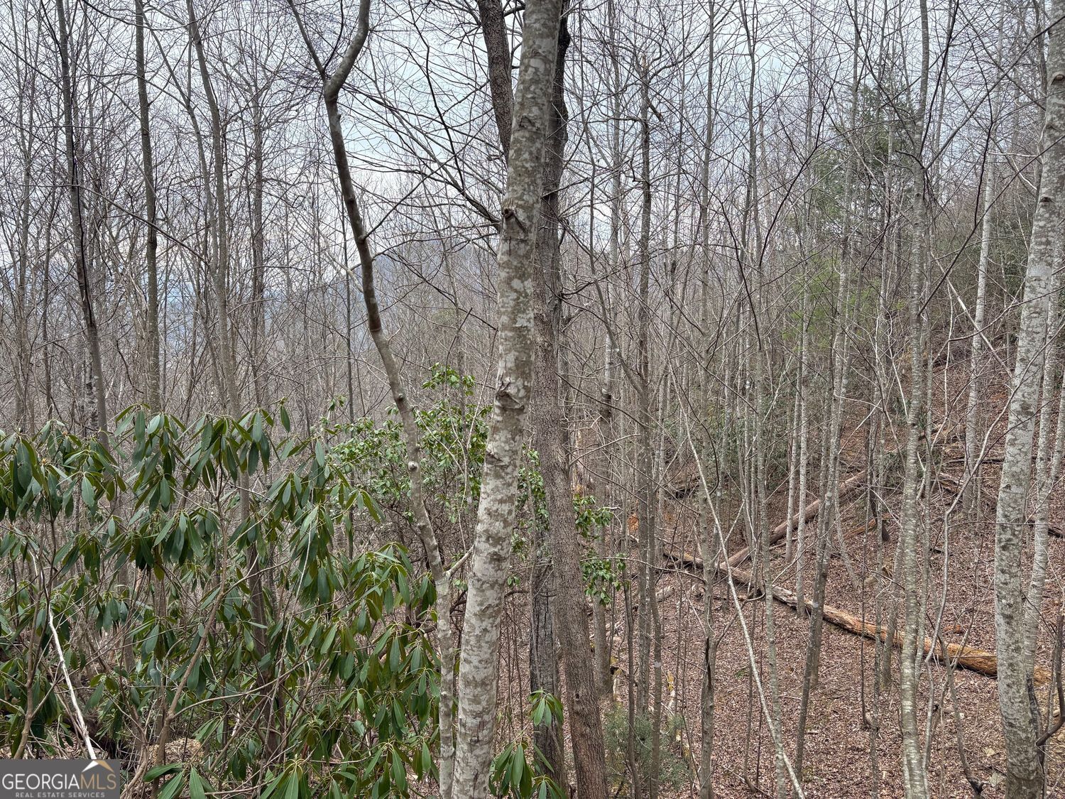 0 Colchester Lane Mountain City GA 30525