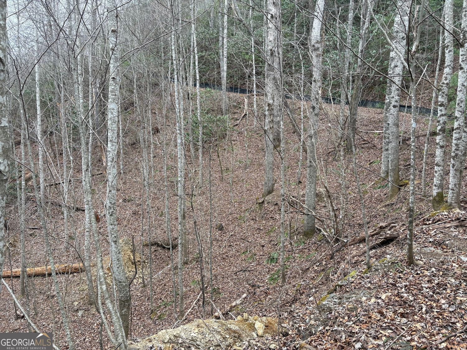 0 Colchester Lane Mountain City GA 30525