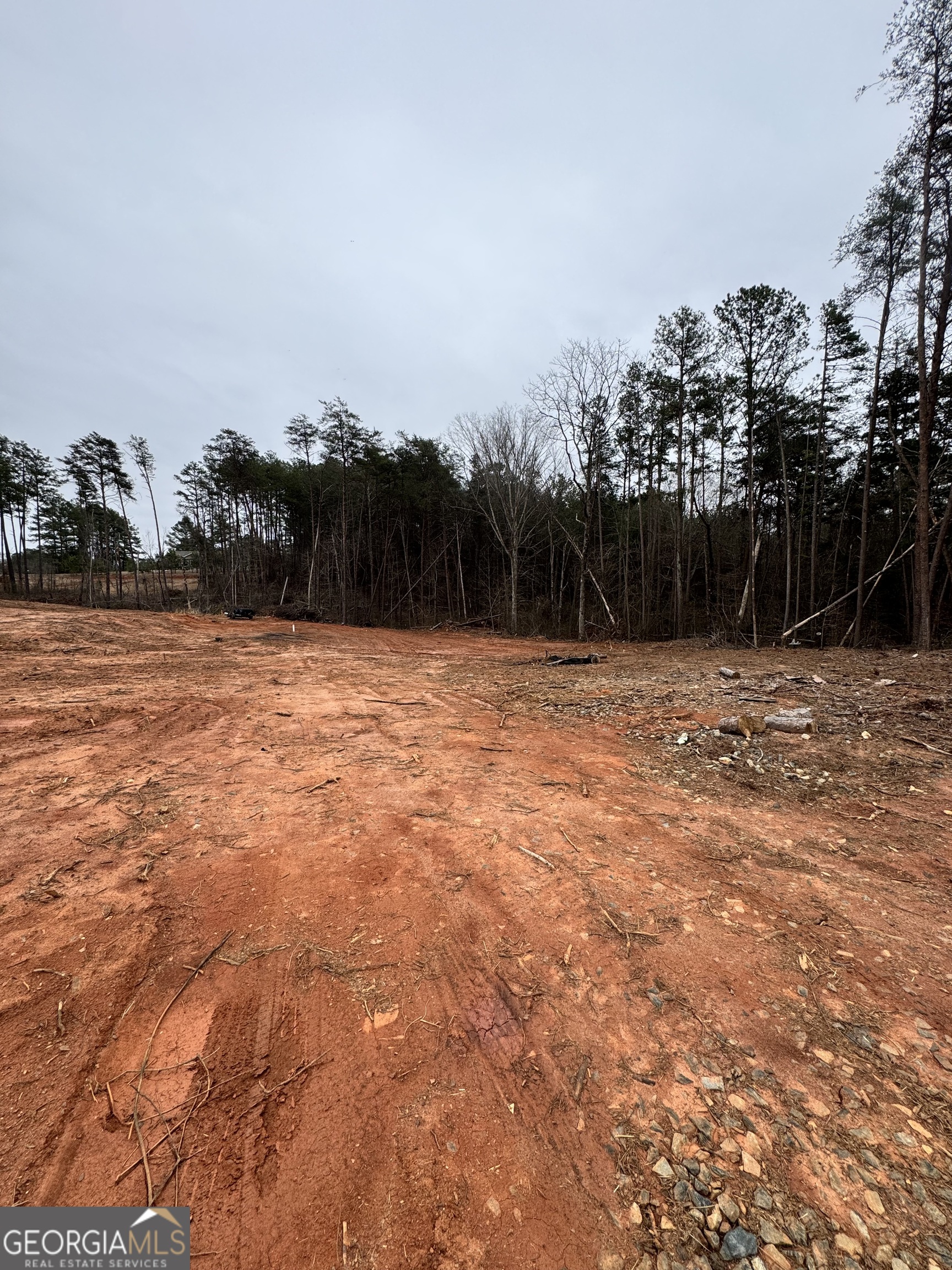 0 Scott Road Eastanollee GA 30538