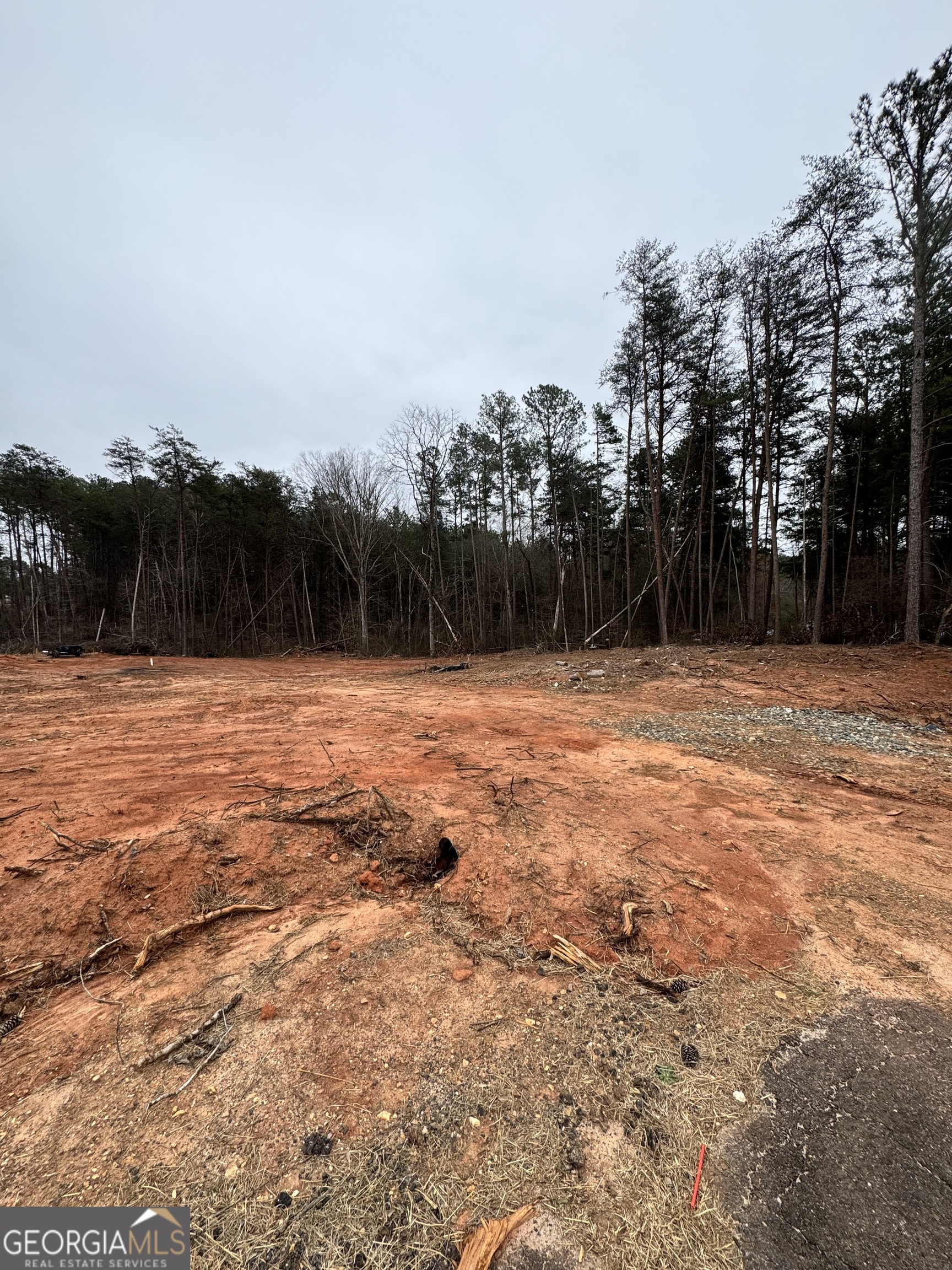 0 Scott Road Eastanollee GA 30538