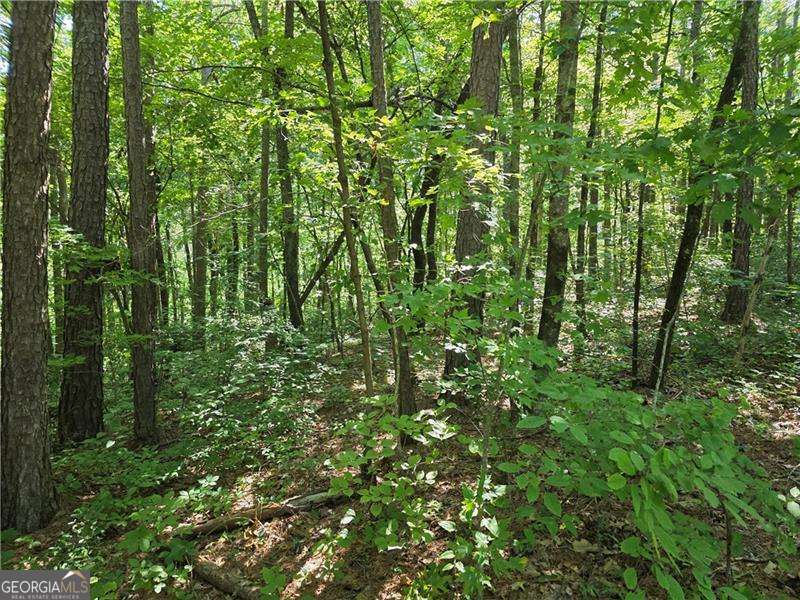 0 Byers Drive Ball Ground GA 30107