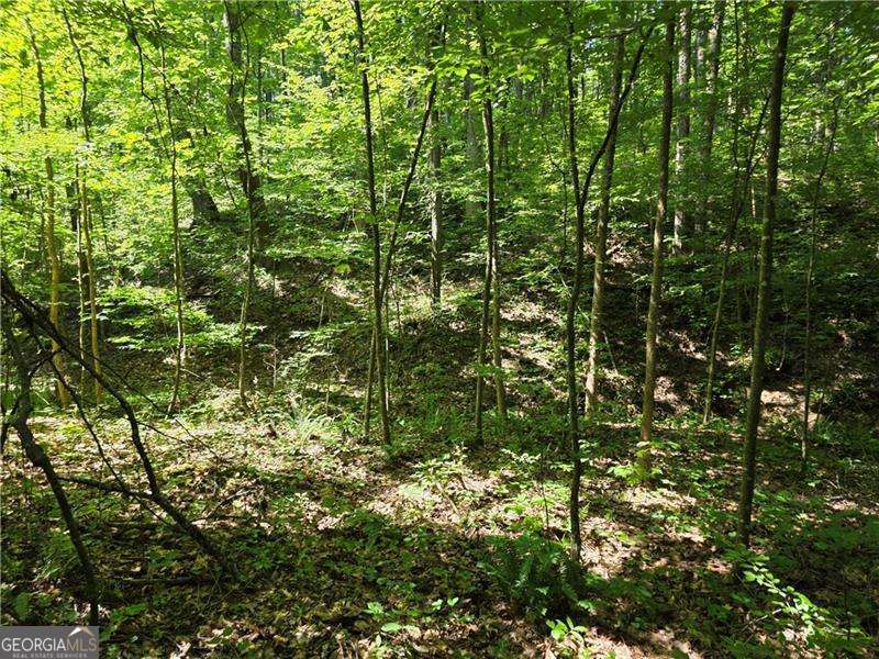 0 Byers Drive Ball Ground GA 30107