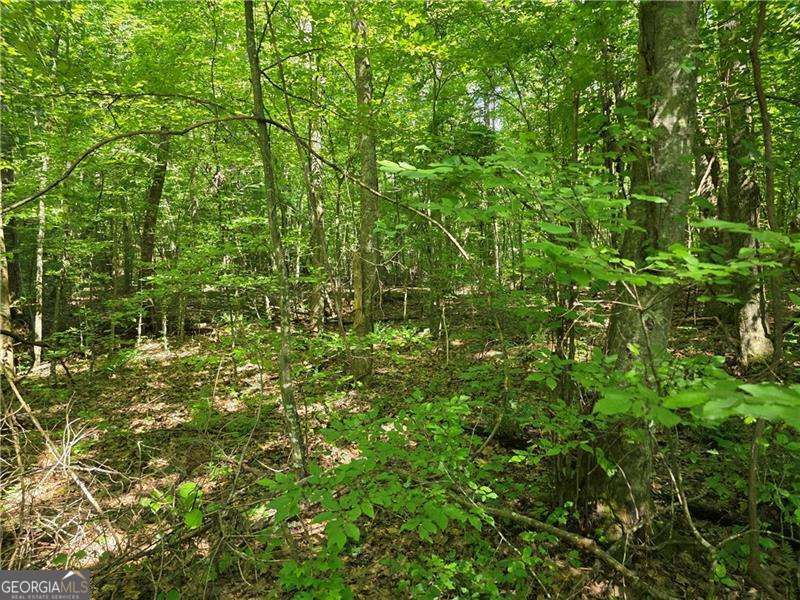0 Byers Drive Ball Ground GA 30107