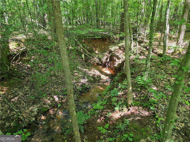 0 Byers Drive Ball Ground GA 30107
