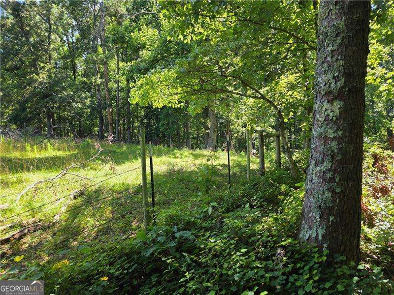 0 Byers Drive Ball Ground GA 30107