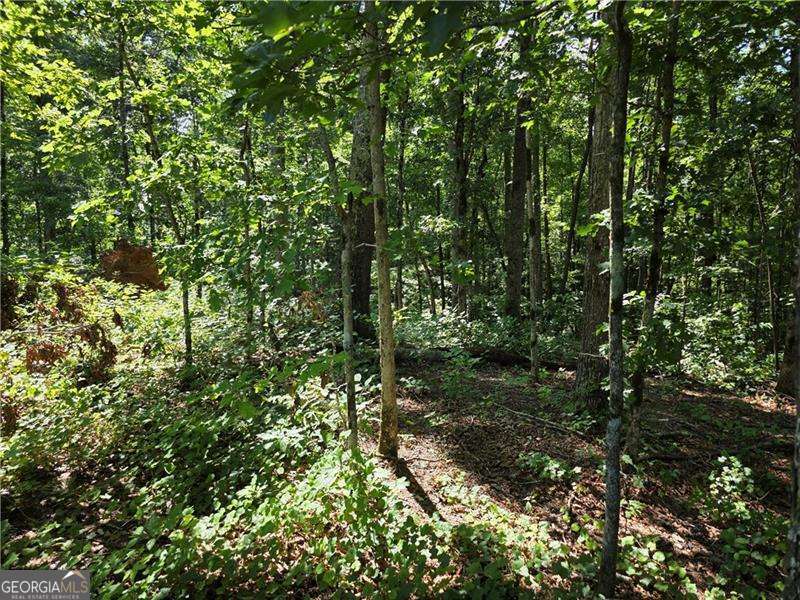 0 Byers Drive Ball Ground GA 30107