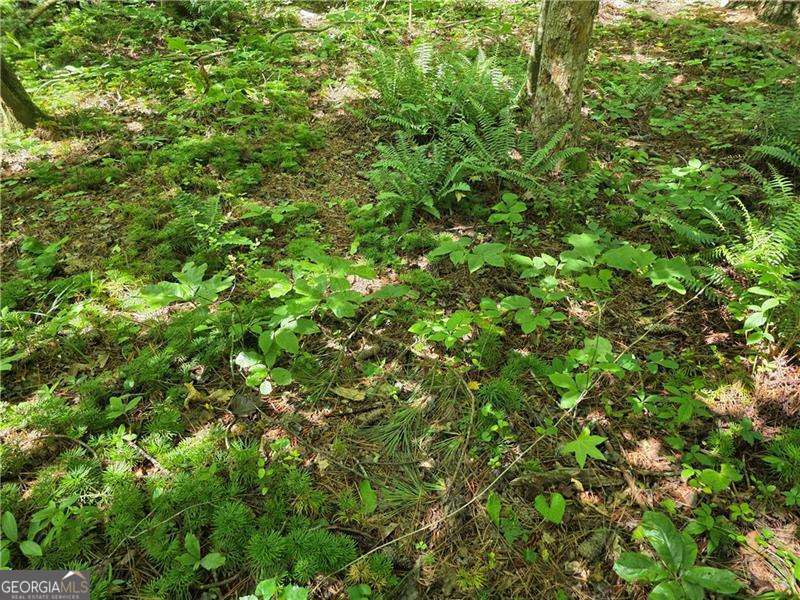 0 Byers Drive Ball Ground GA 30107
