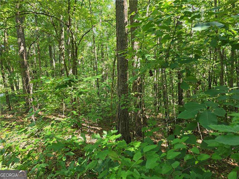0 Byers Drive Ball Ground GA 30107