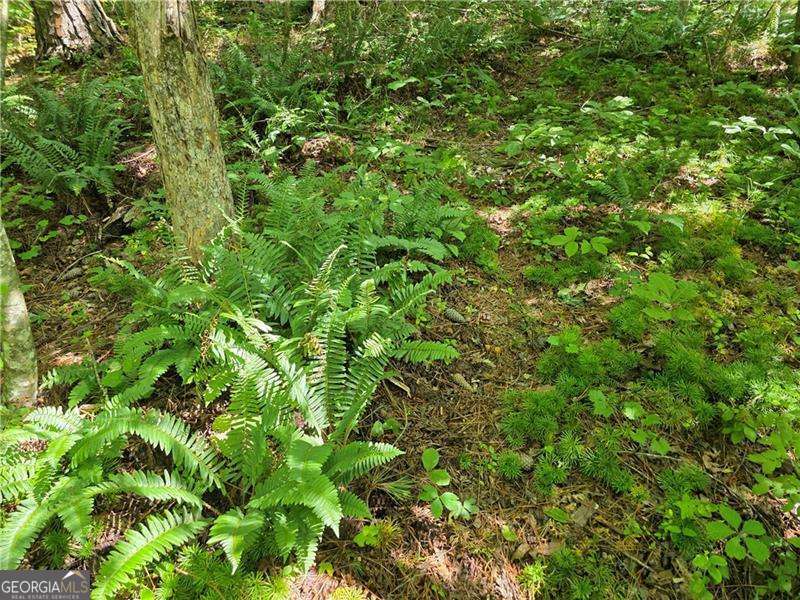 0 Byers Drive Ball Ground GA 30107