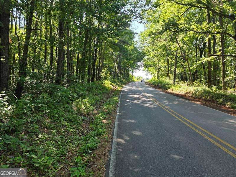 0 Byers Drive Ball Ground GA 30107