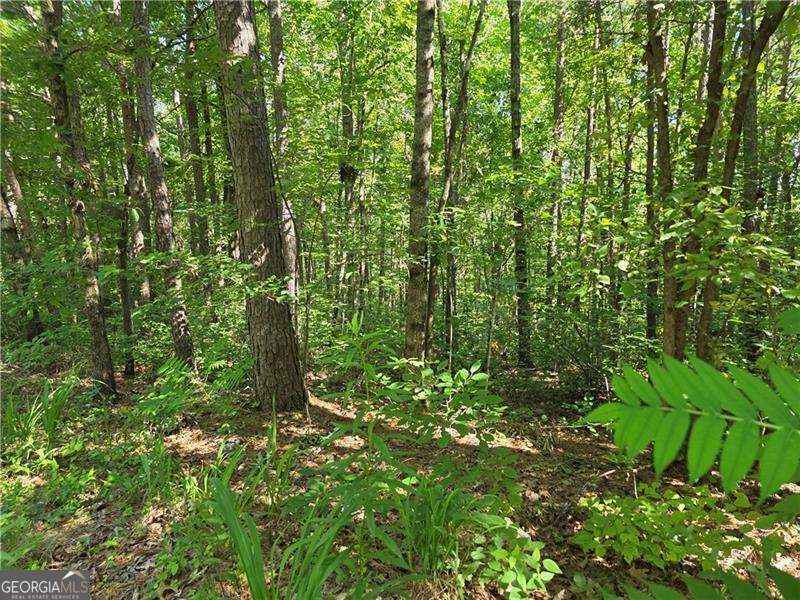 0 Byers Drive Ball Ground GA 30107