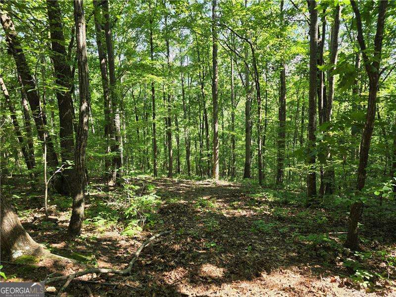 0 Byers Drive Ball Ground GA 30107
