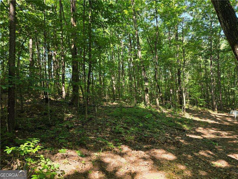 0 Byers Drive Ball Ground GA 30107