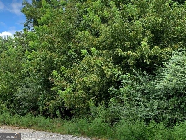 7322 Tribble Gap Road Alto GA 30510