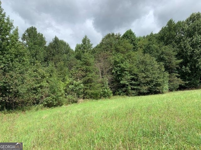 7322 Tribble Gap Road Alto GA 30510