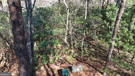 Lot 2 Crumley Creek Road Sautee Nacoochee GA 30571