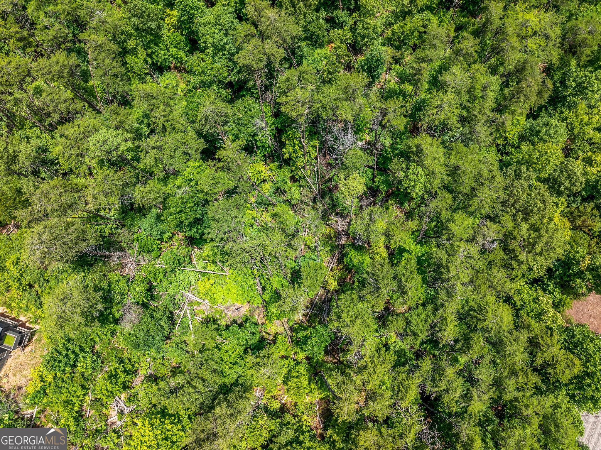 15D Woodbrier Sautee Nacoochee GA 30571