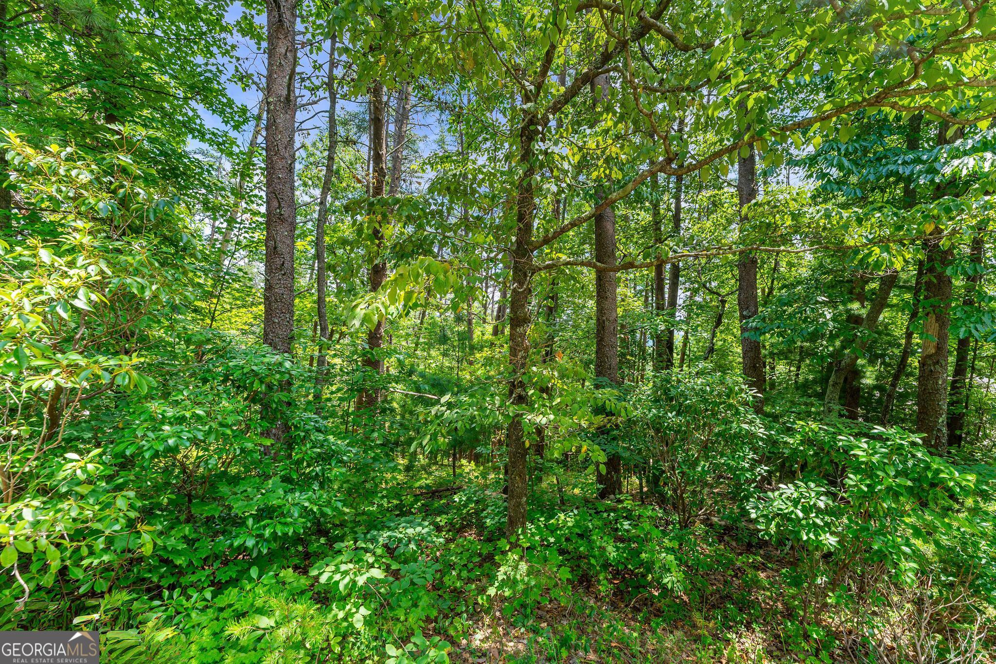 15D Woodbrier Sautee Nacoochee GA 30571